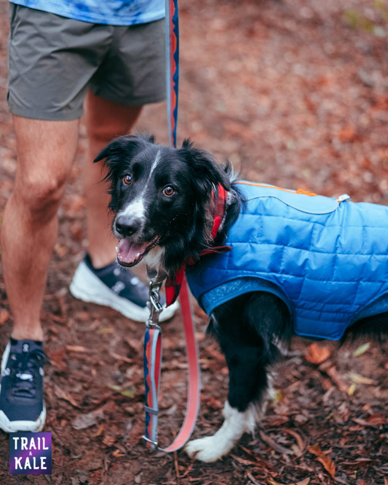 Redwood run hike Trail and Kale web wm 46