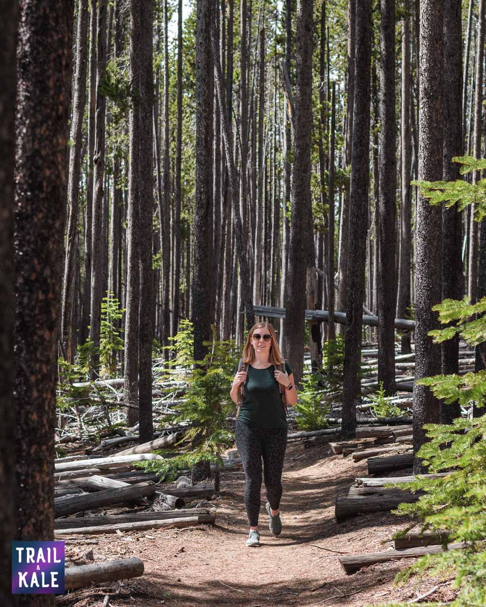 Revelry Drifter Backpack review trail and kale web wm 31