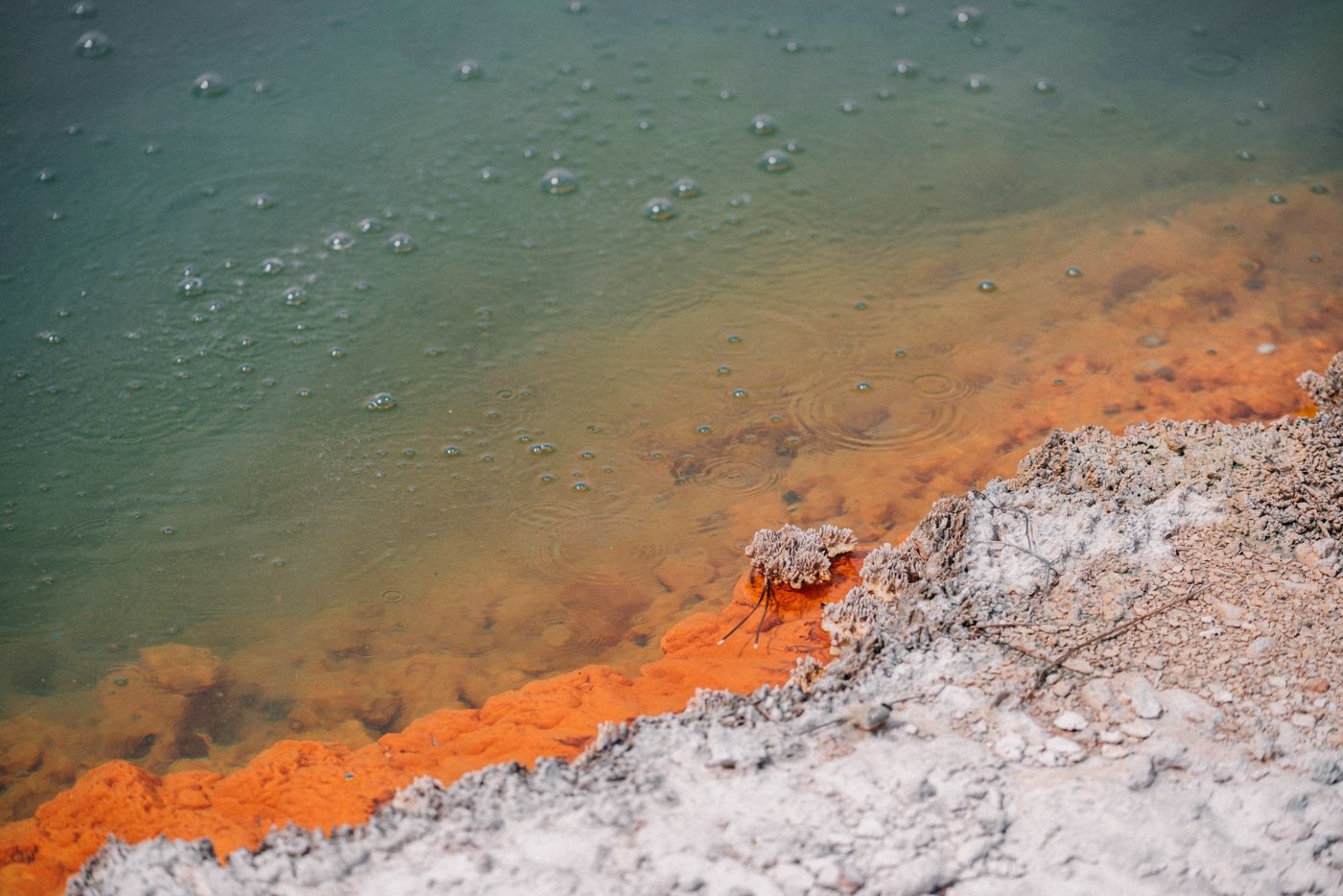 Rotorua Champagne Pool