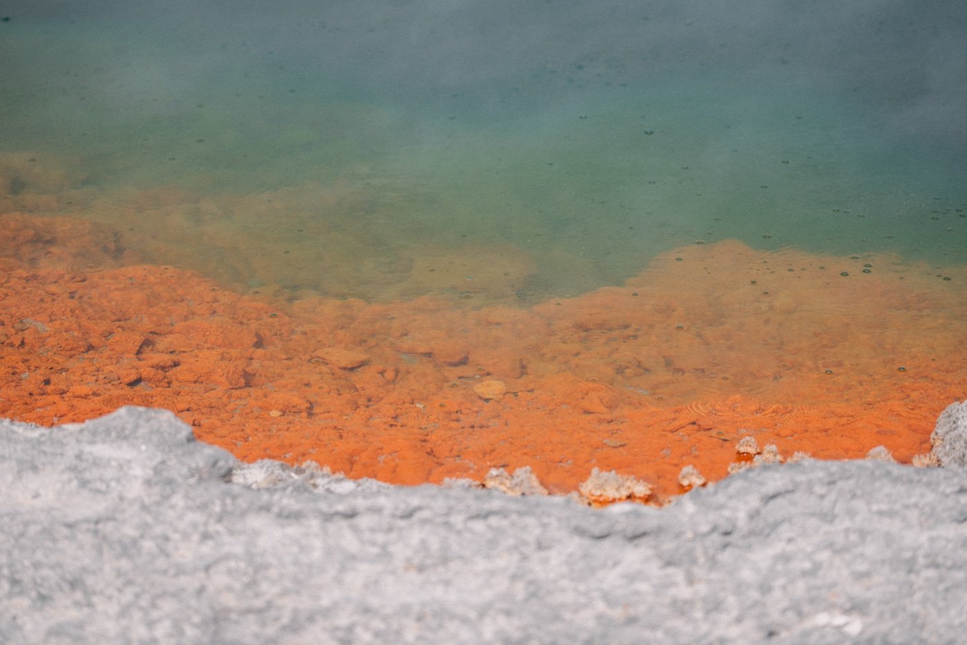 Rotorua Champagne Pool