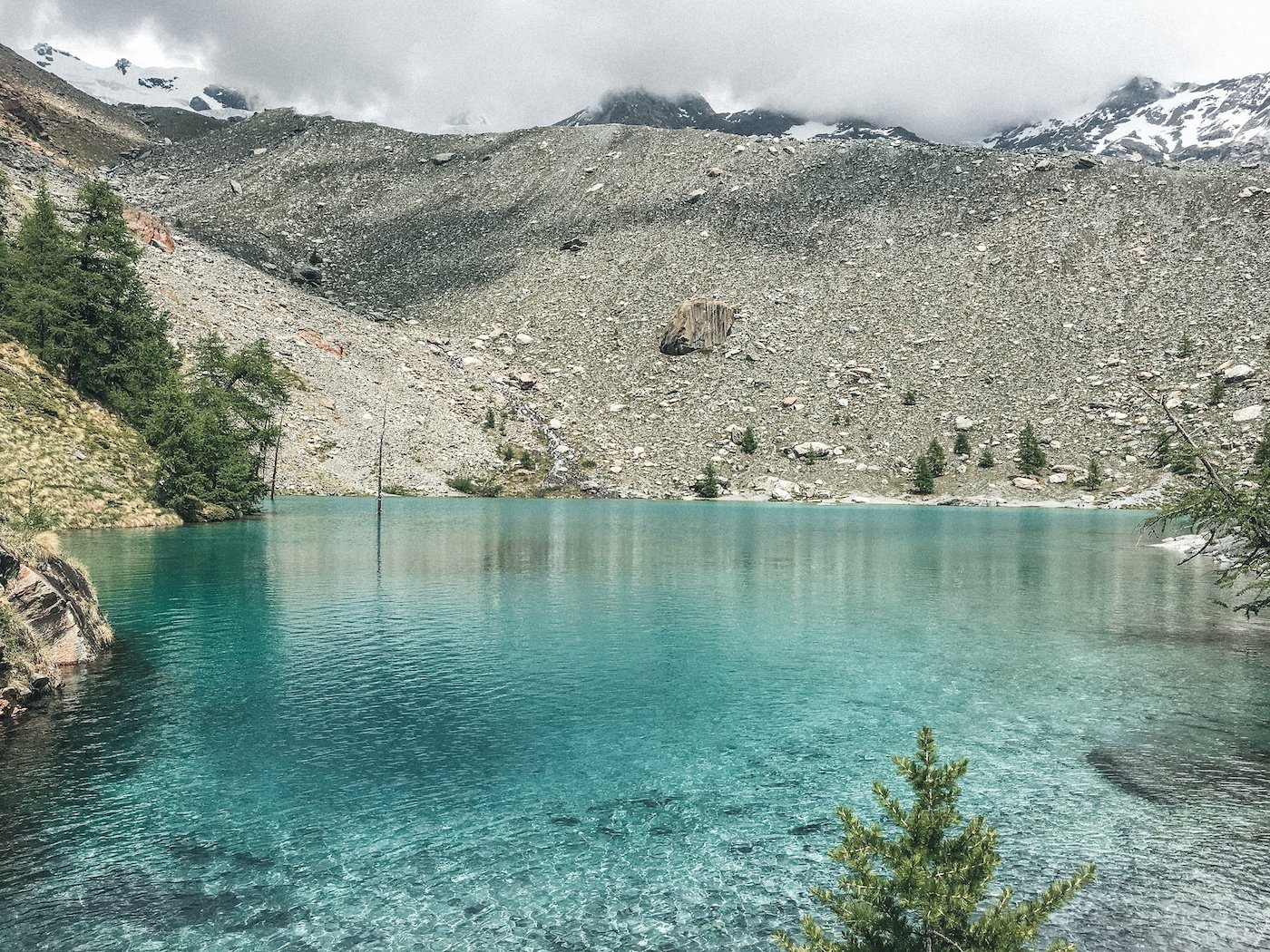 Trail and Kale - Aosta Valley