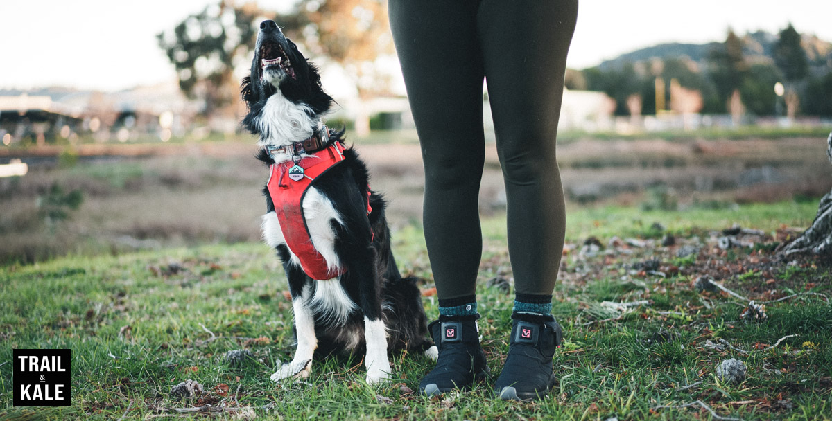 Volt Heat review by Trail and Kale 18