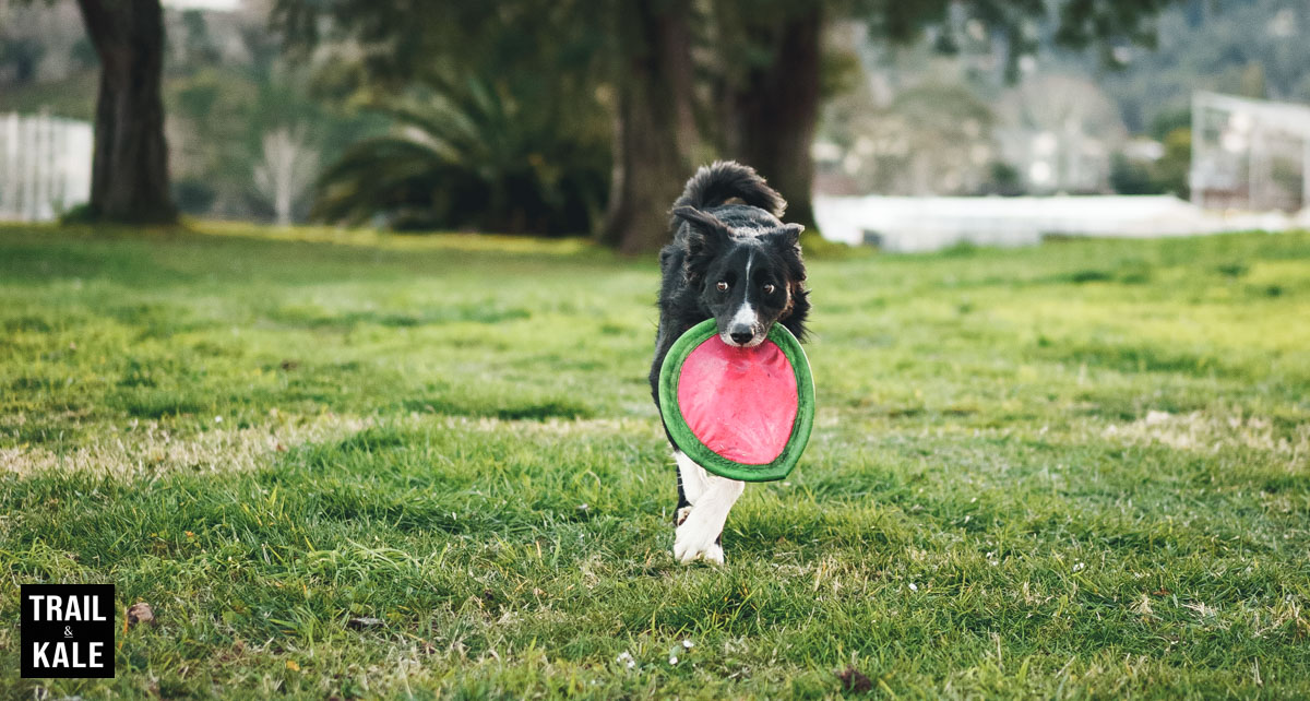 Volt Heat review by Trail and Kale 24