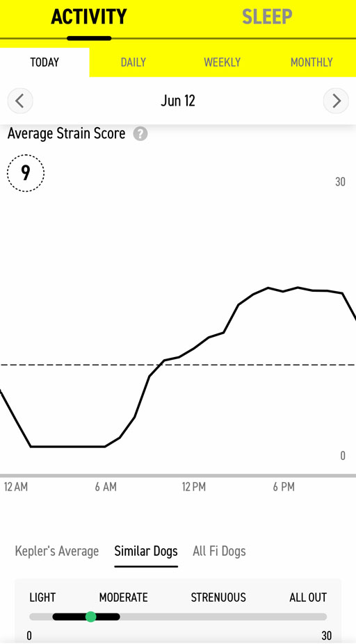 What is the Fi dog collar strain score 1