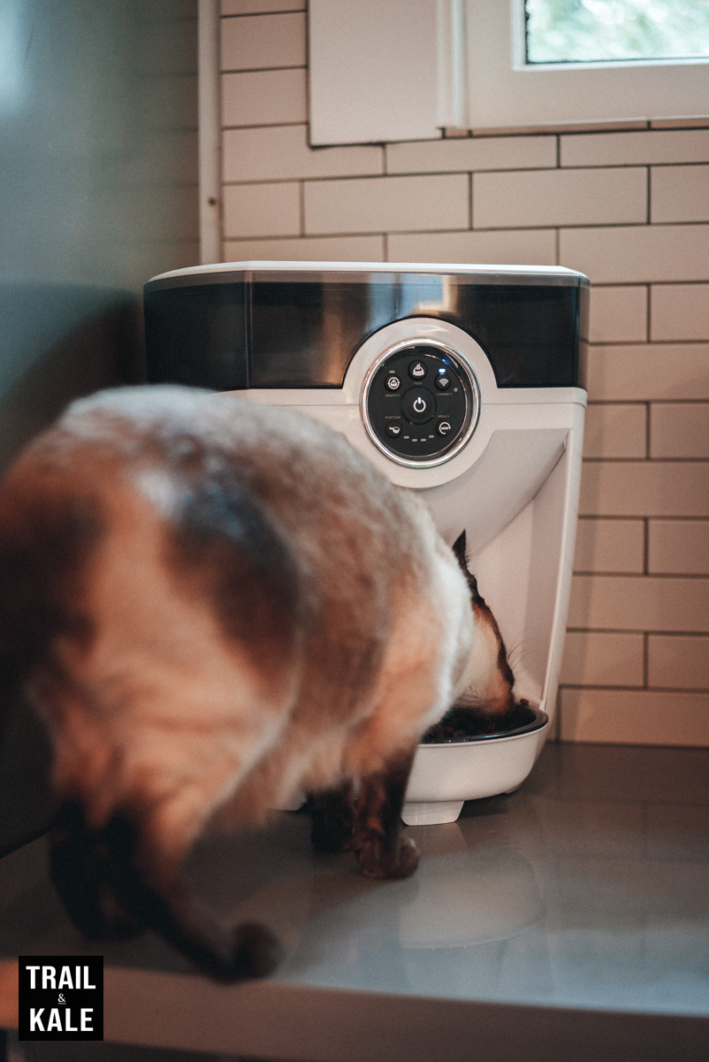 The Whisker Feeder-Robot in action. I love this product too, and will be reviewing it soon!