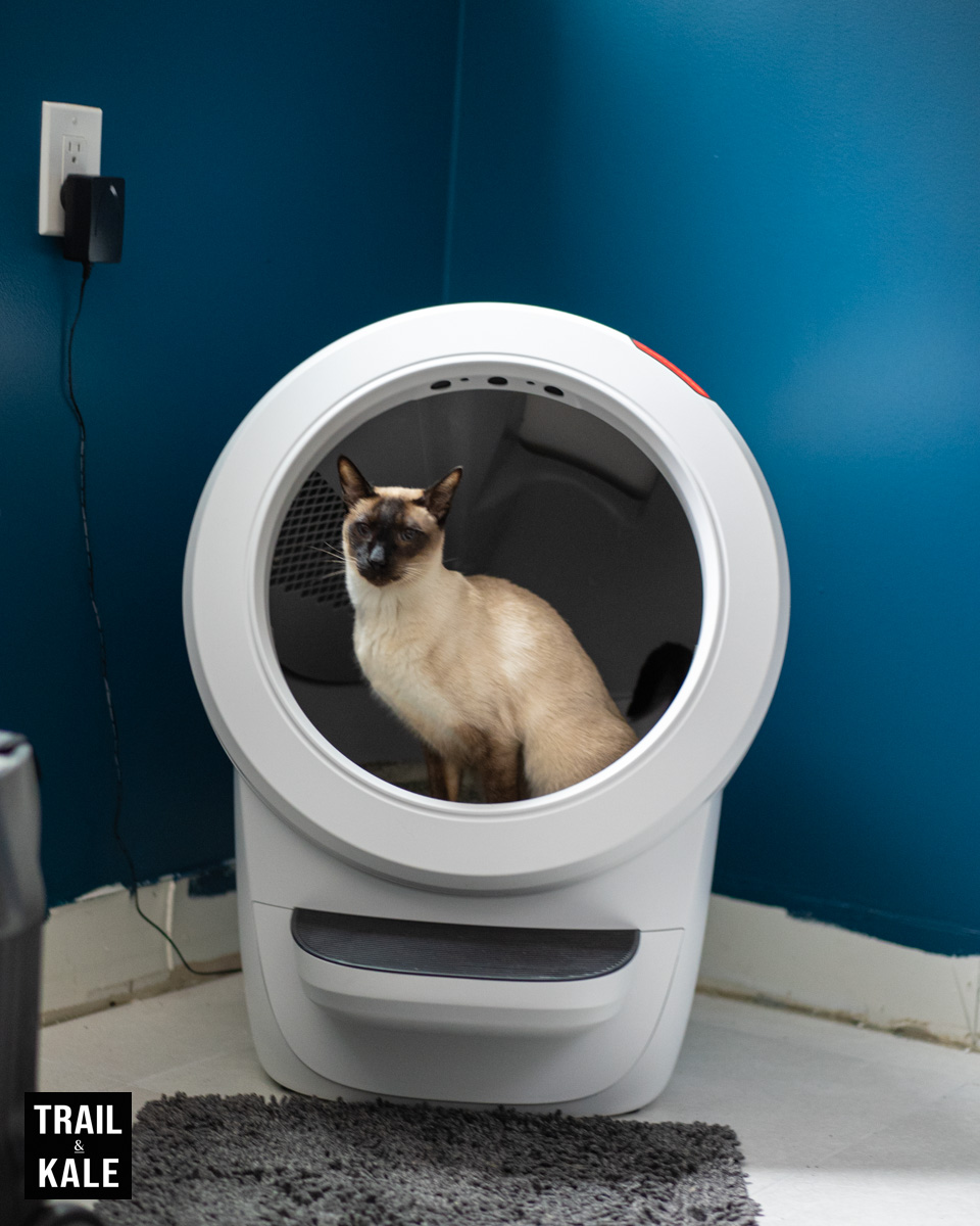 Our cats certainly love having a clean bed of litter to do their business on, and we love not having to scoop poop every night.