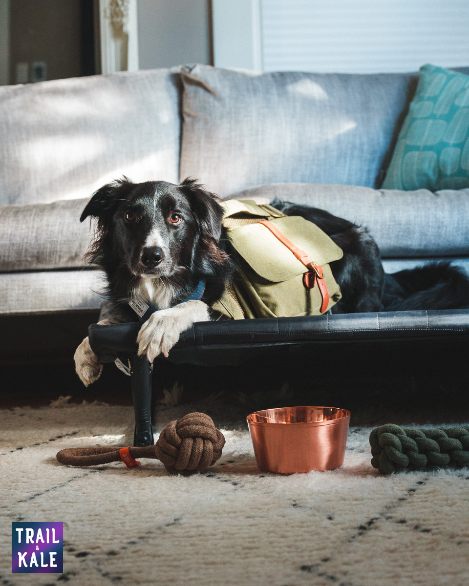 Wolf Republic review dog gear Trail and Kale web wm 10