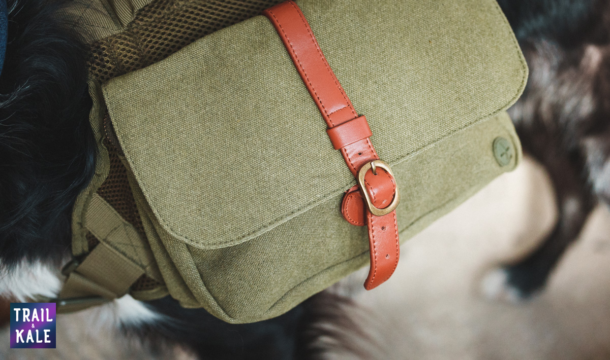 Wolf Republic review dog gear Trail and Kale web wm 16