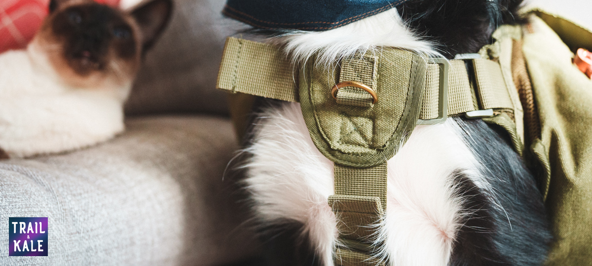 Wolf Republic review dog gear Trail and Kale web wm 23