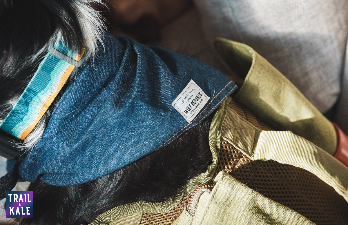 Wolf Republic review dog gear Trail and Kale web wm 25