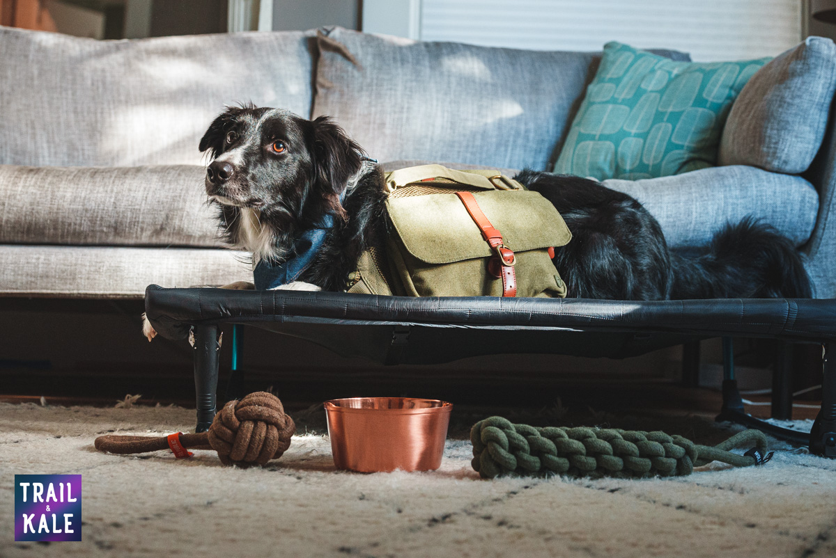 Wolf Republic review dog gear Trail and Kale web wm 7