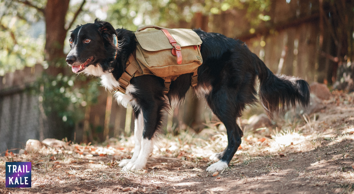 Wolf Republic Review Trail and Kale web wm 1