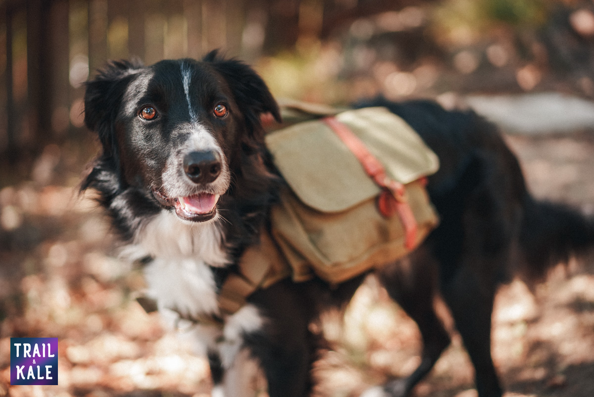 Wolf Republic Review Trail and Kale web wm 7