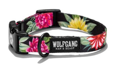 Wolfgang Man and Beast Best Dog Collar