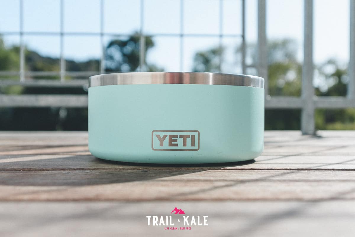 ETI dog bowl review - trail dogs trail and kale wm 4