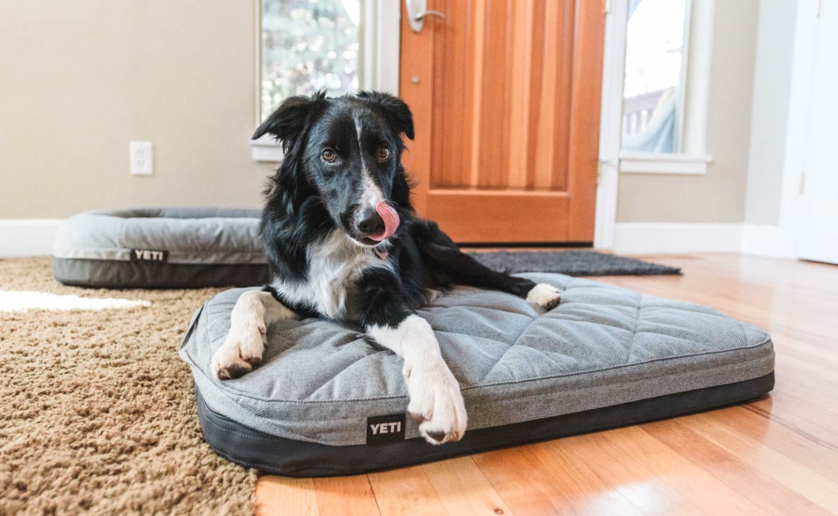 YETI Dog bed best dog beds trail and kale