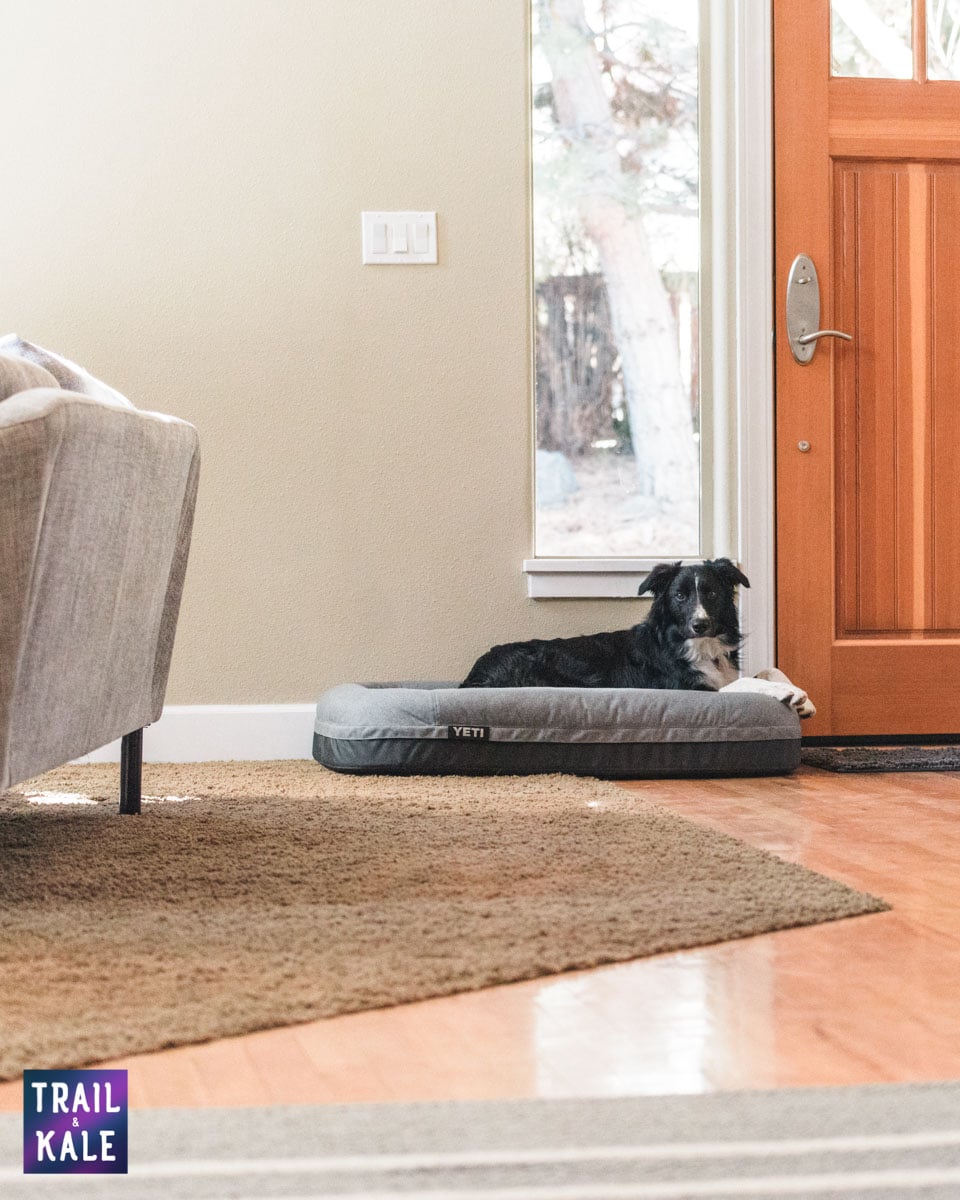 YETI Dog bed review trail and kale web wm 3