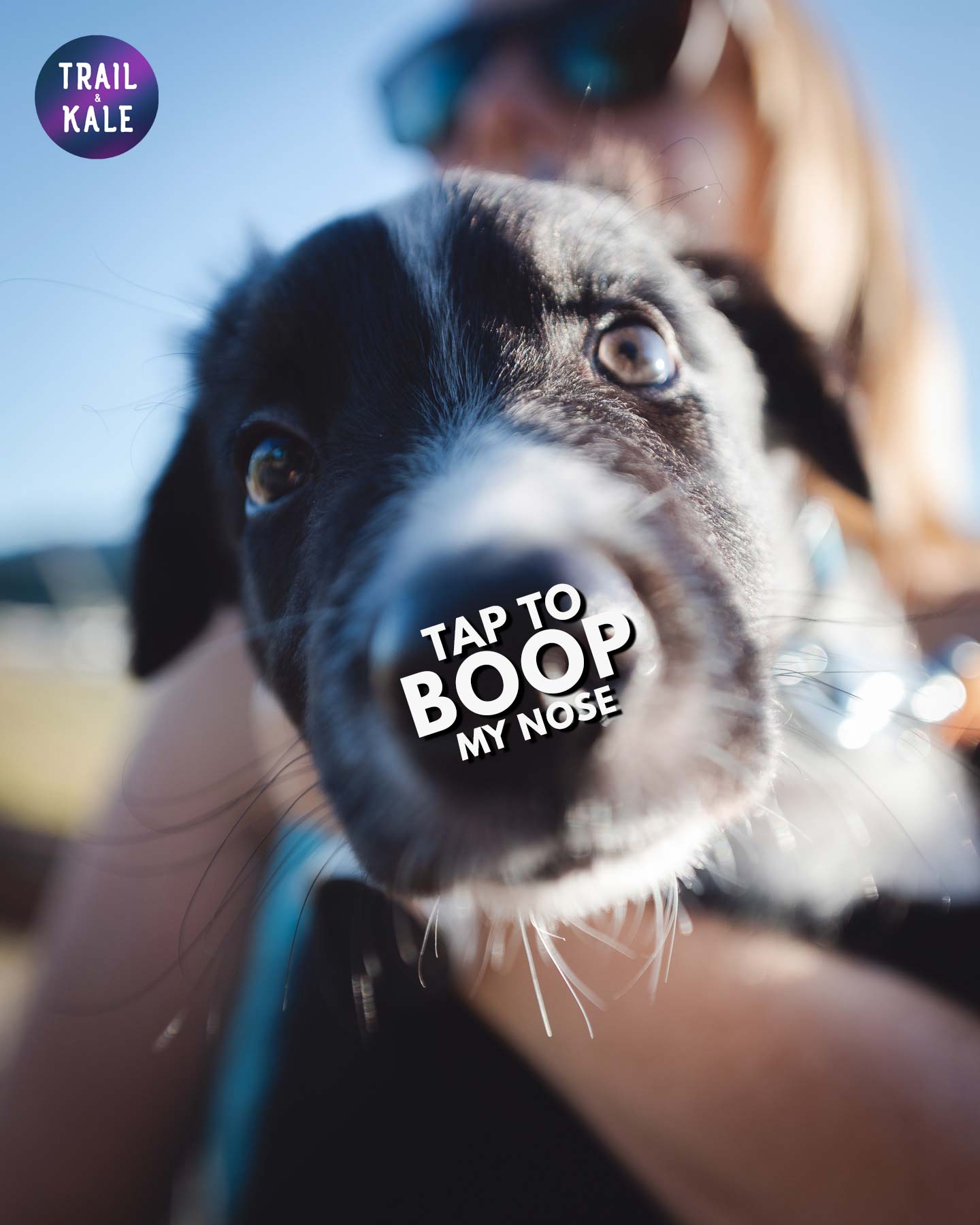 ZAPPOS x MERRELL Ontario Boots Trail Kale Instagram 20 BOOP