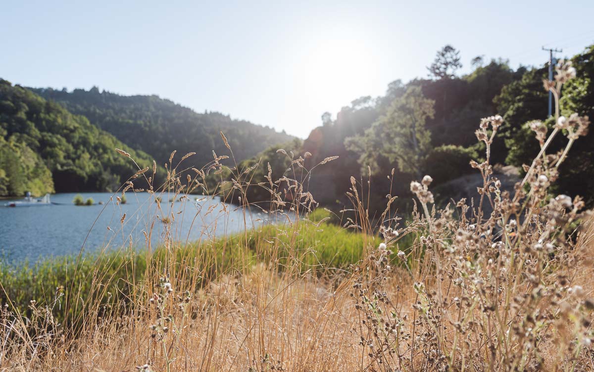 ZAPPOS x MERRELL SHOOT 2 Ontario Boots Trail Kale web 14