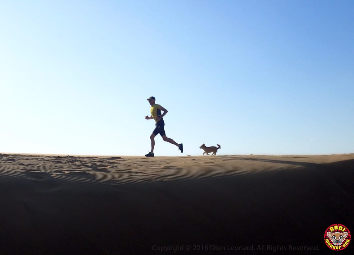 Dion and Gobi Leonard - Finding Gobi Book Review