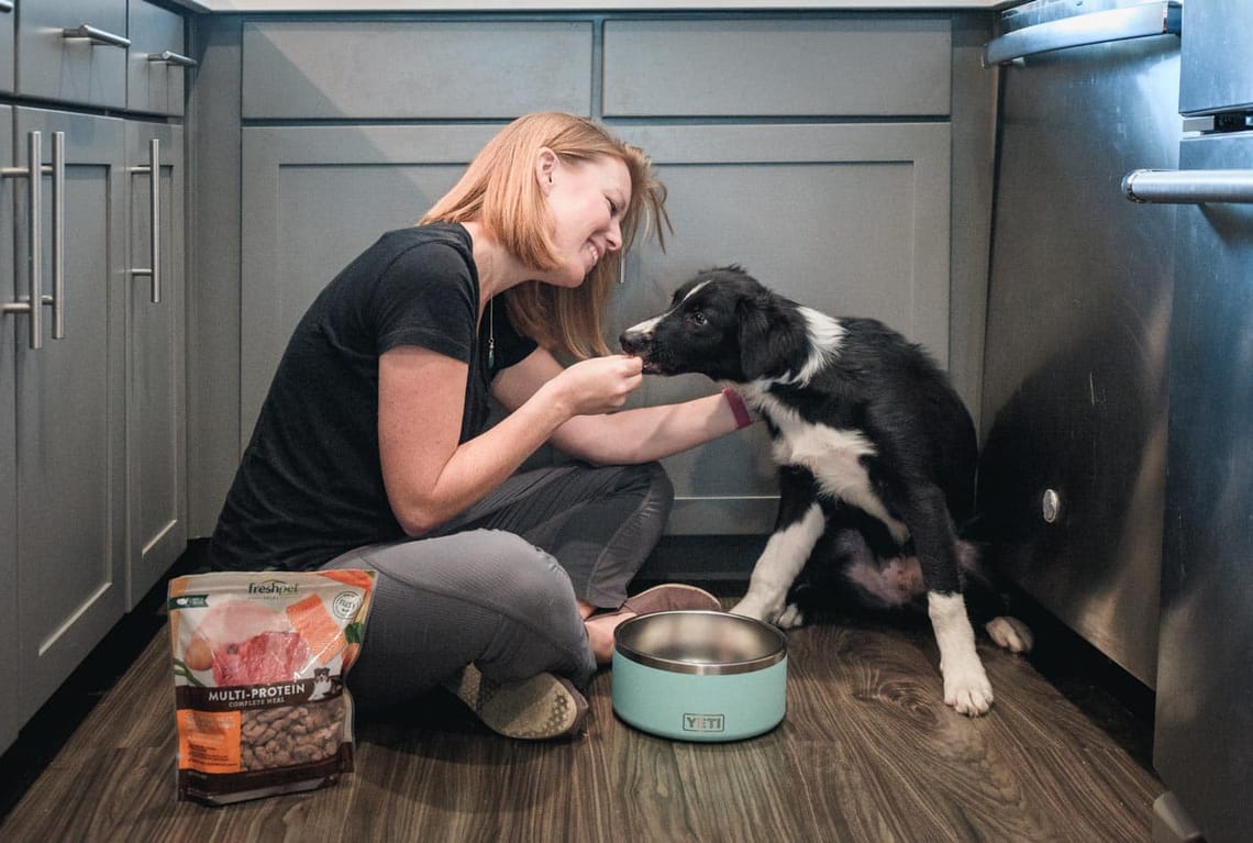 Accelerating our puppys training using high value dog food Freshpet trail and kale web featured 1