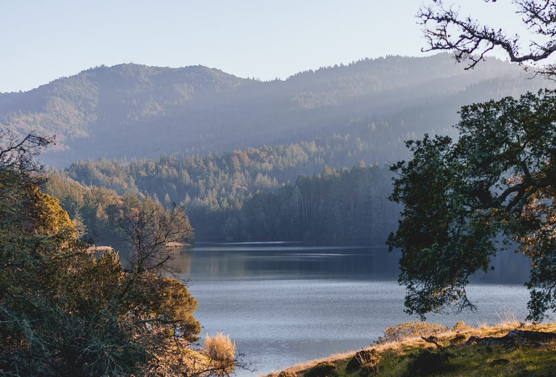 Healthy Lifestyle Tips by Trail and Kale Master Your Health