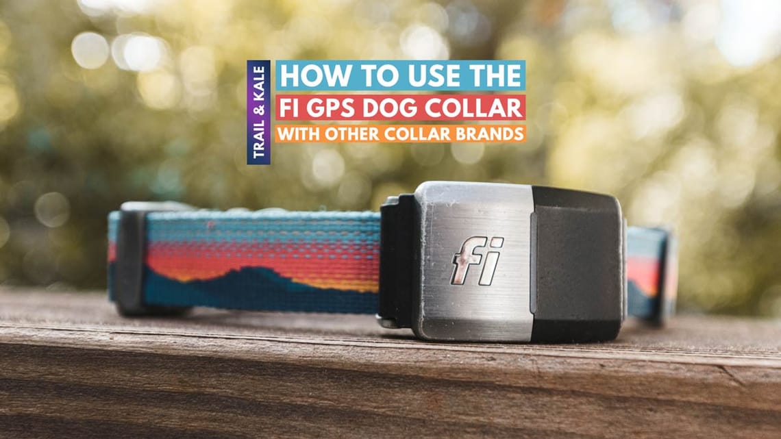 How To Use The Fi GPS Dog Collar With Other Collar Brands Like Ruffwear