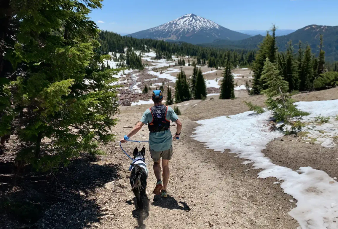 Running with your dog 2024