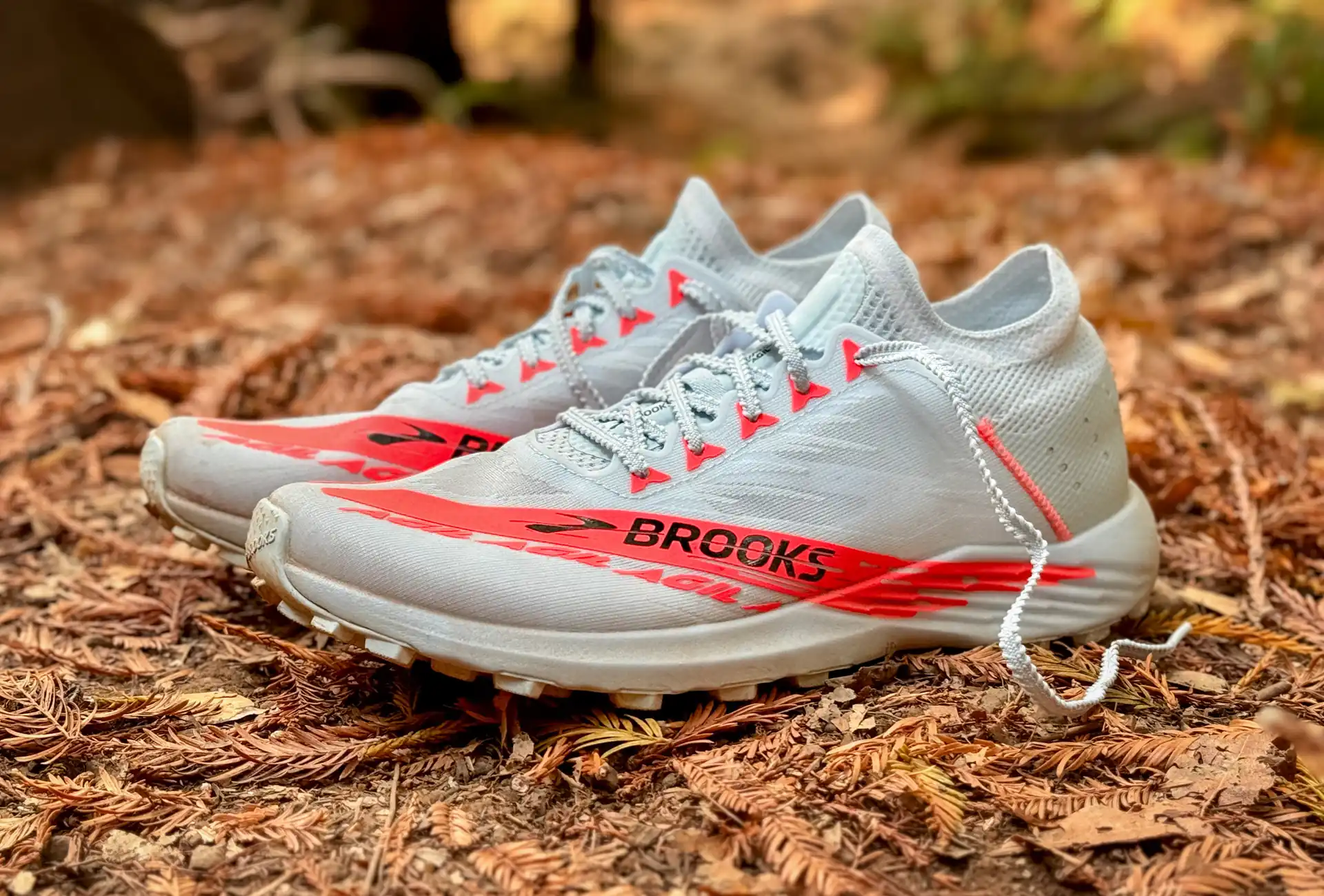 Brooks Catamount Agil Review: Lightweight Speed With Trade-offs In Comfort