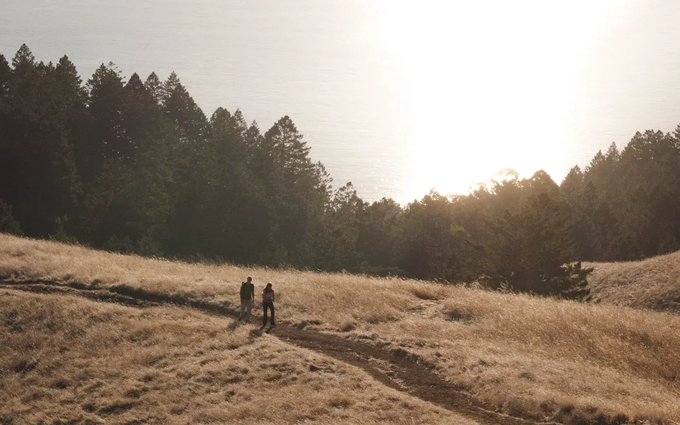 Get outside and go hiking for the first time