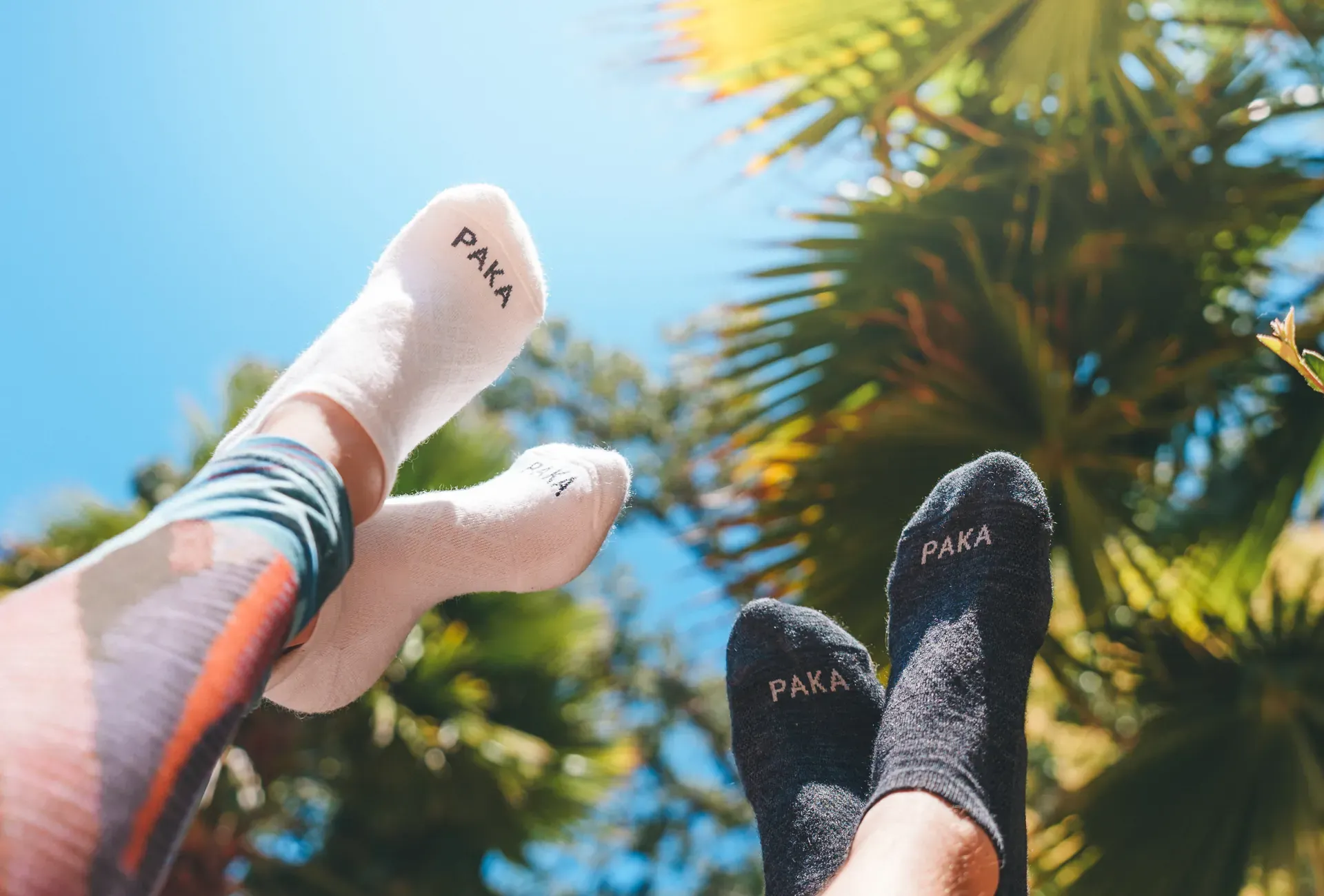 PAKA Review updated 2024