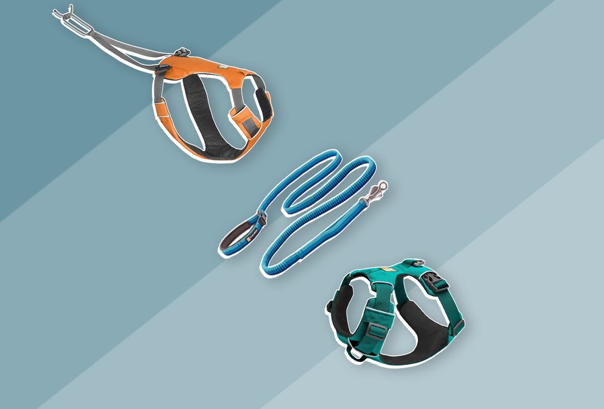 The Best Harnesses and Leashes For Running With Your Dog Trail and Kale Recommends