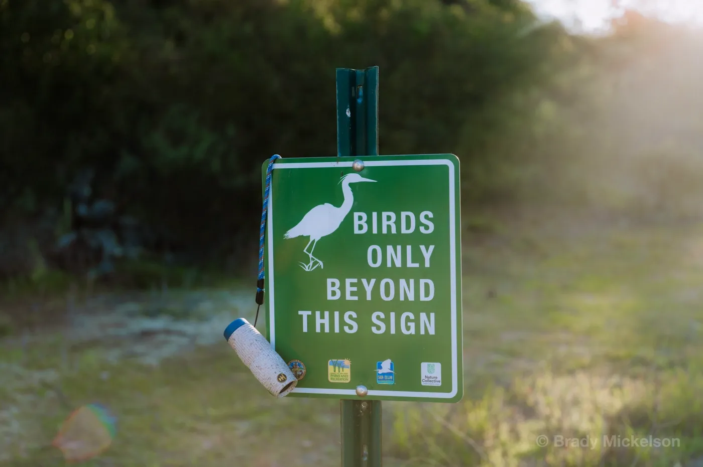 Nocs Provisions partners with the National Audubon Society