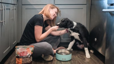 Accelerating our puppys training using high value dog food Freshpet trail and kale web featured 1