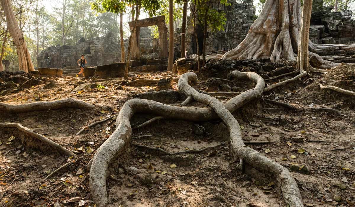 angkor ultra trail race report trail and kale image13