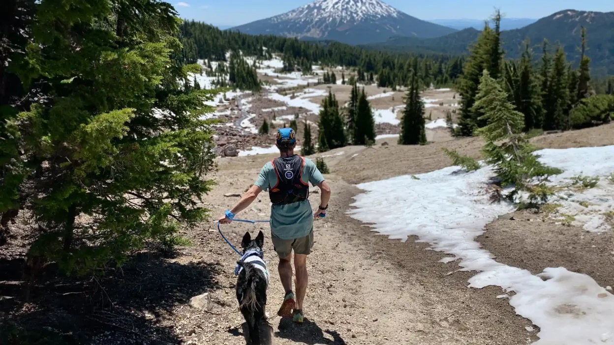 Running with your dog 2024