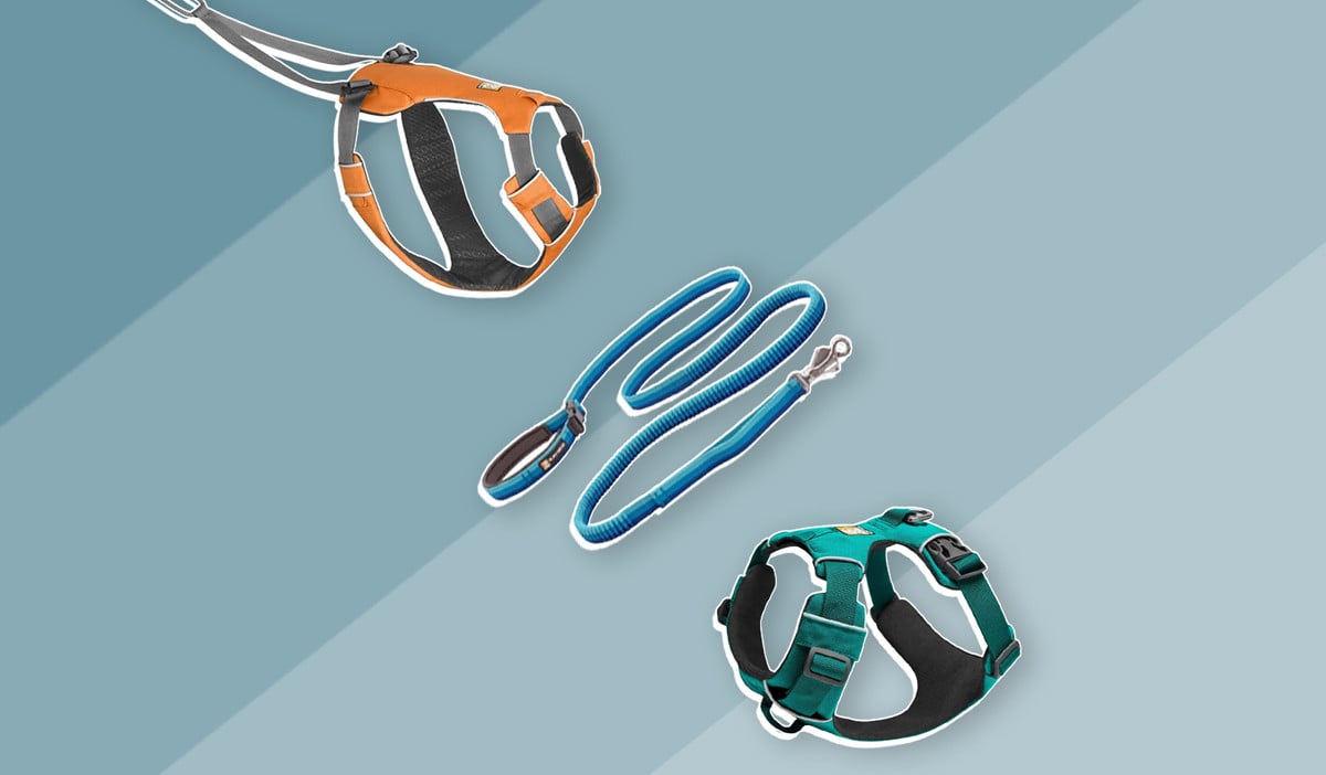 The Best Harnesses and Leashes For Running With Your Dog Trail and Kale Recommends