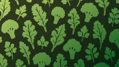 Best Greens Powders, right now