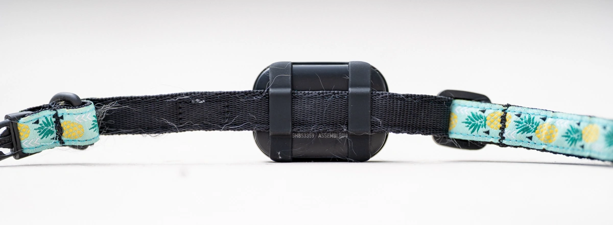 Fi Mini GPS tracker review, written by your favorite feline, Champers 5 - Trail and Kale | Trail Running & Adventure