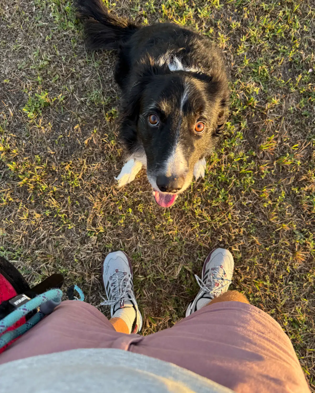 Merrell Moab Speed 2 GTX hiking shoes review: comfort, stability, and serious trail protection 1 - Trail and Kale | Trail Running & Adventure